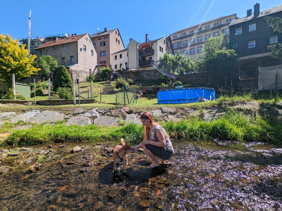 Famzi - Urlaubsmagie - Familienwohnung Mit Gemeinschaftsgarten, -Sauna & -Pool Sebnitz Extérieur photo