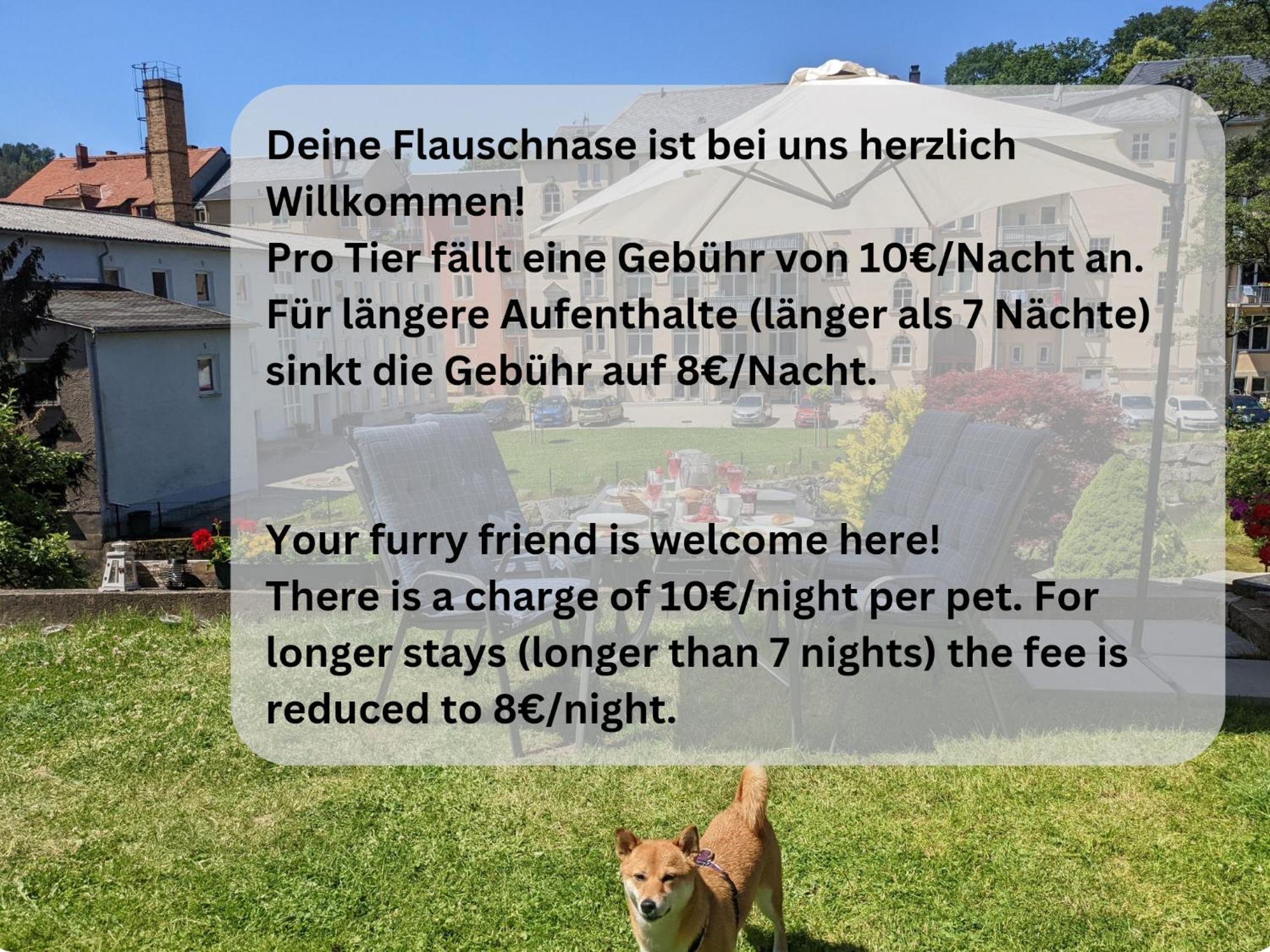 Famzi - Urlaubsmagie - Familienwohnung Mit Gemeinschaftsgarten, -Sauna & -Pool Sebnitz Extérieur photo