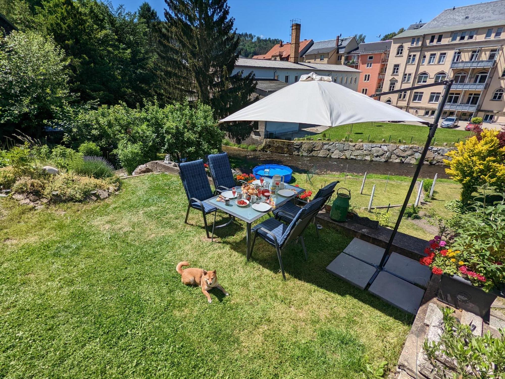 Famzi - Urlaubsmagie - Familienwohnung Mit Gemeinschaftsgarten, -Sauna & -Pool Sebnitz Extérieur photo
