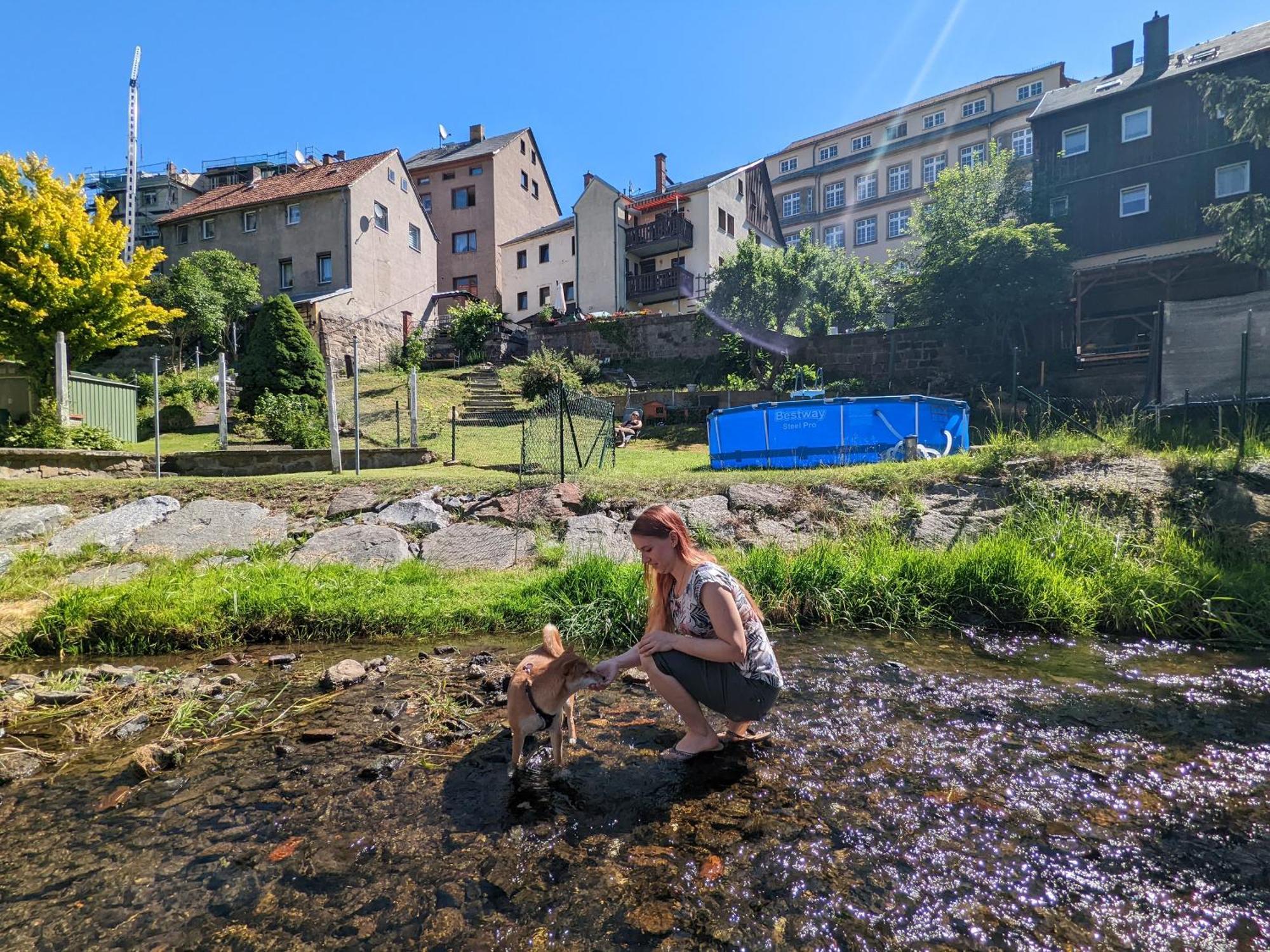 Famzi - Urlaubsmagie - Familienwohnung Mit Gemeinschaftsgarten, -Sauna & -Pool Sebnitz Extérieur photo