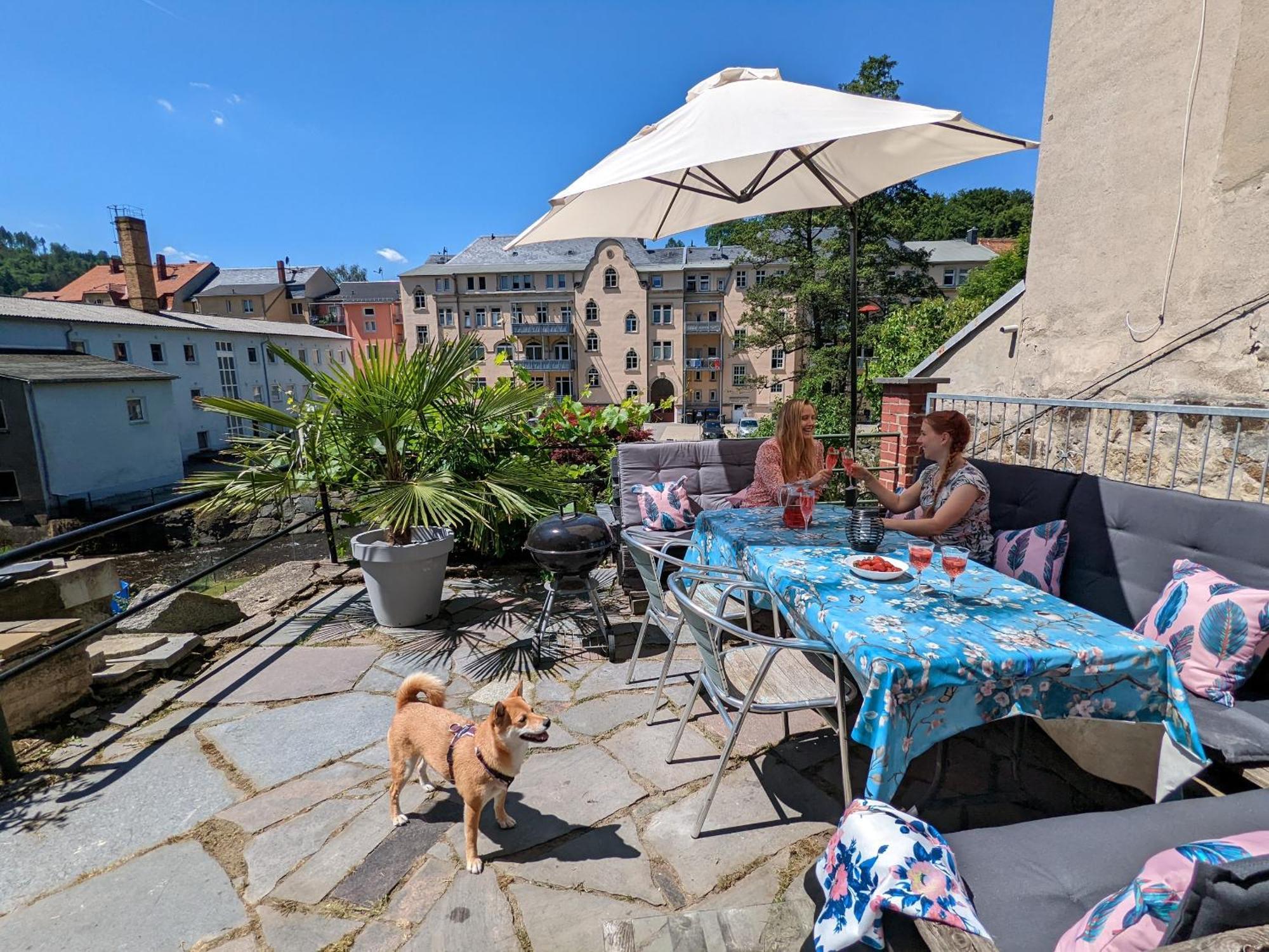 Famzi - Urlaubsmagie - Familienwohnung Mit Gemeinschaftsgarten, -Sauna & -Pool Sebnitz Extérieur photo