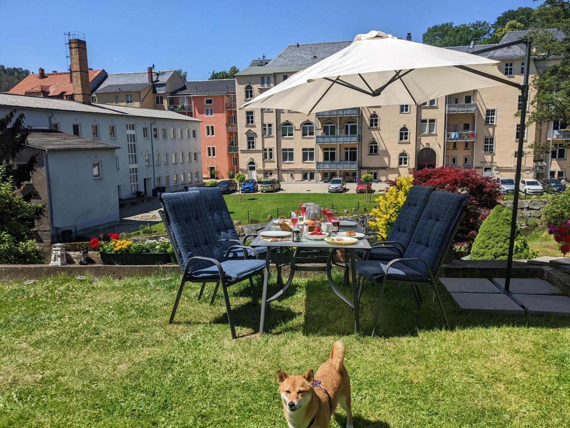 Famzi - Urlaubsmagie - Familienwohnung Mit Gemeinschaftsgarten, -Sauna & -Pool Sebnitz Extérieur photo