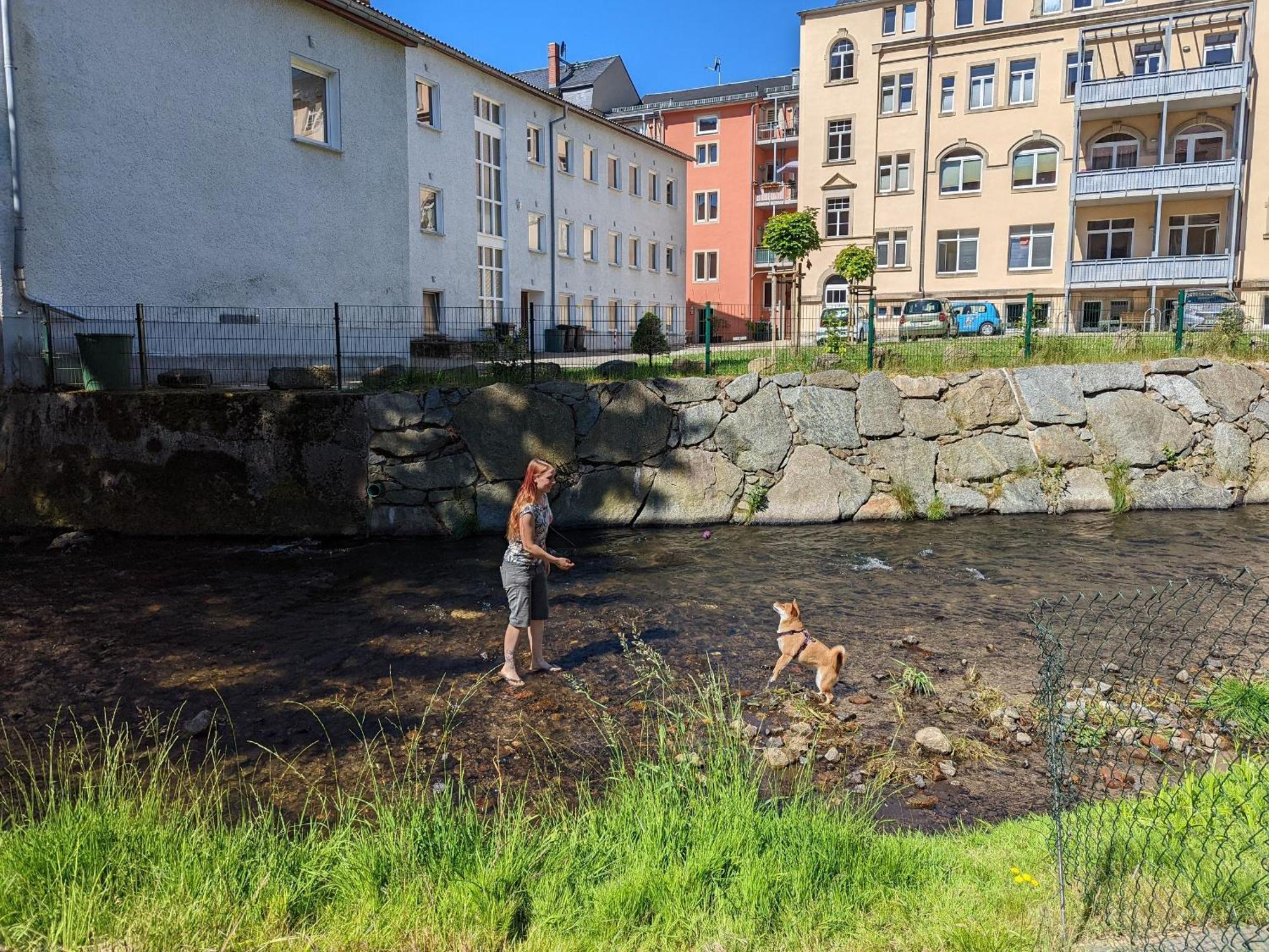 Famzi - Urlaubsmagie - Familienwohnung Mit Gemeinschaftsgarten, -Sauna & -Pool Sebnitz Extérieur photo